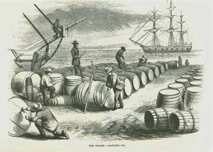 19th century whaling tales. vist0089j